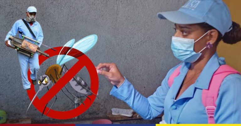 Hoy, alzamos la voz en el día Internacional contra el Dengue