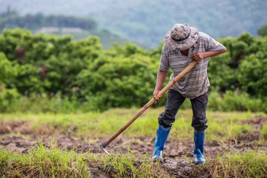 Día Nacional del Campesino UNAN-León