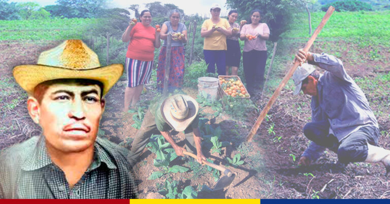 En el Día Nacional del Campesino Sembramos para Cosechar un Futuro de Amor y Paz